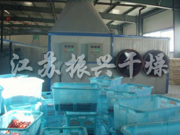 枸（gǒu）杞專用非標隧道烘箱